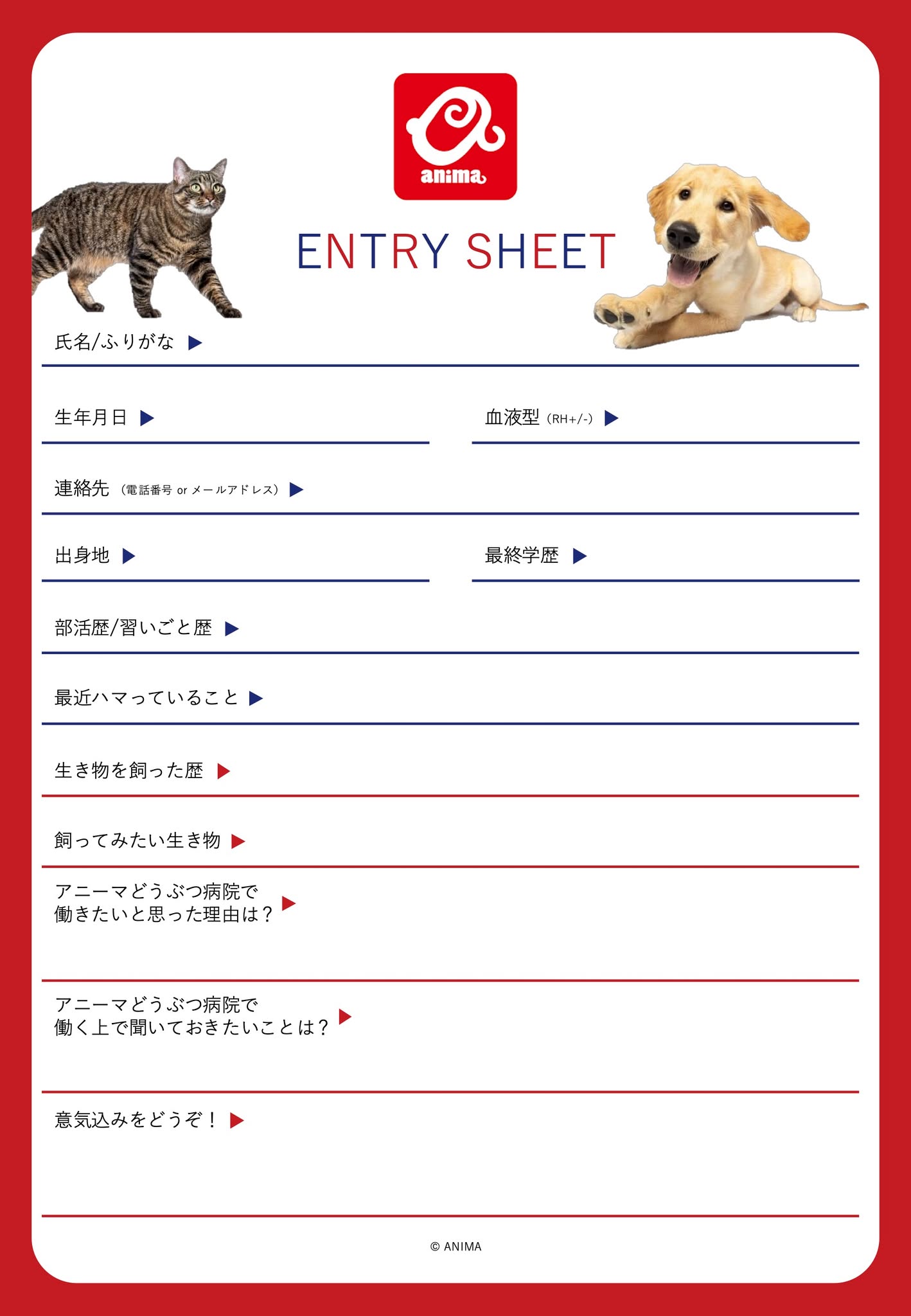 エントリーシート１枚目
